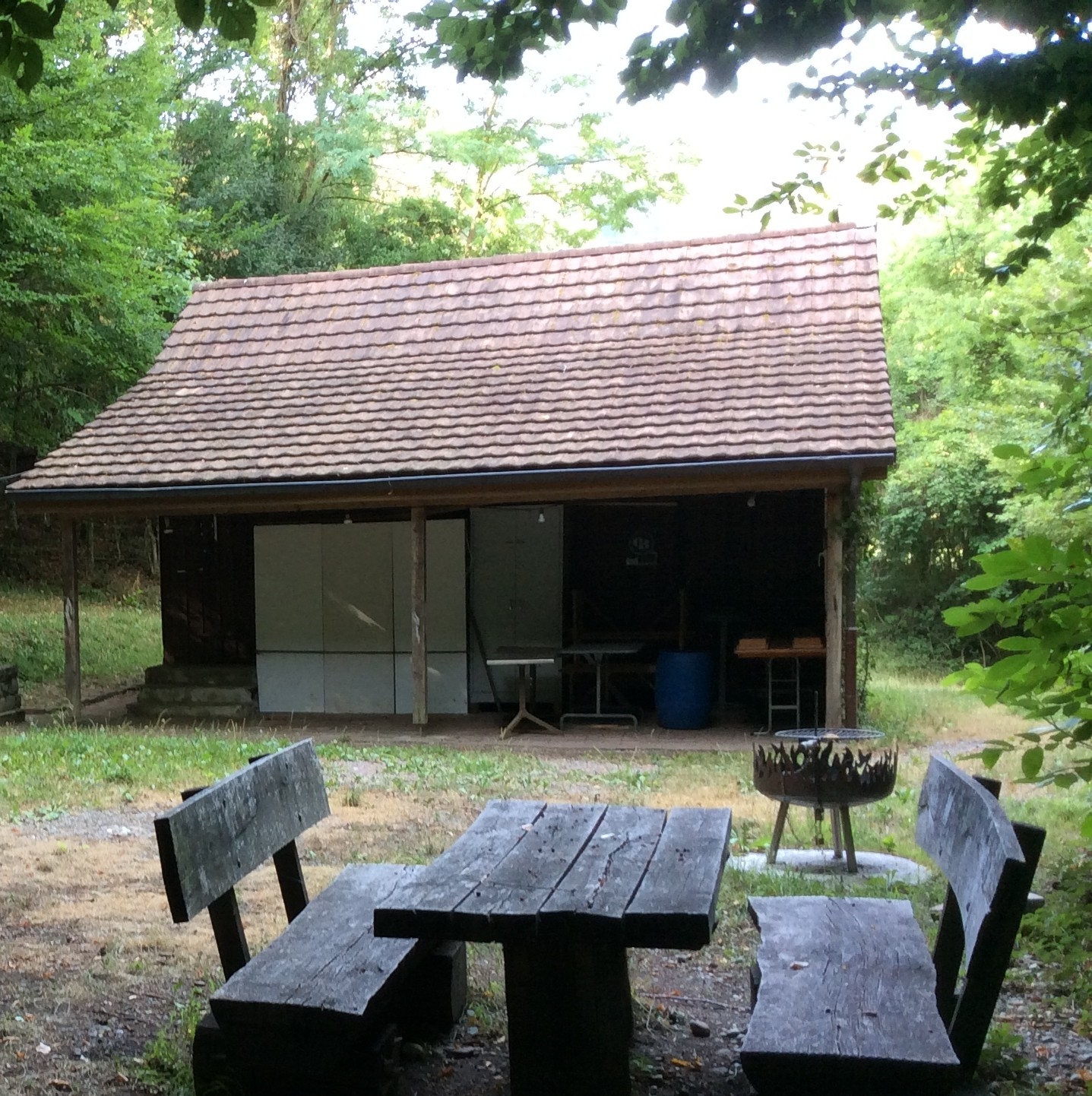 Grillplausch in der Waldhütte Buechiholz in Rümikon, AG