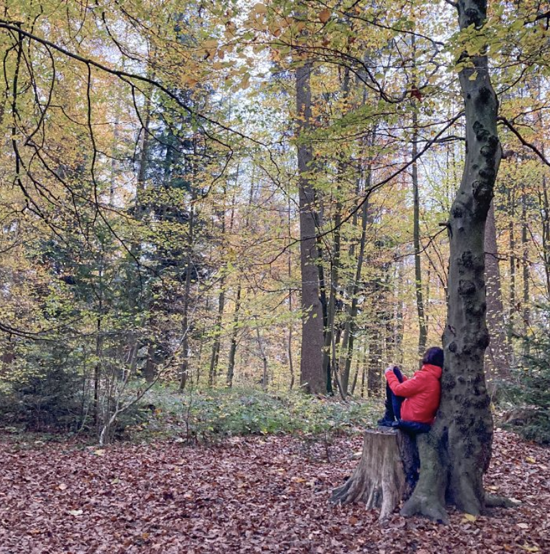 Bain de forêt au jardin botanique de Grüningen ZH