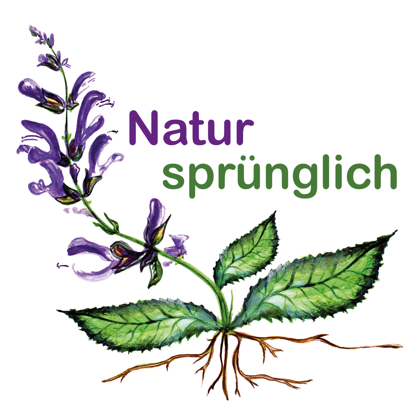 Tanke dein Gesundheitskonto auf - Achtsamkeit in der Natur erfahren