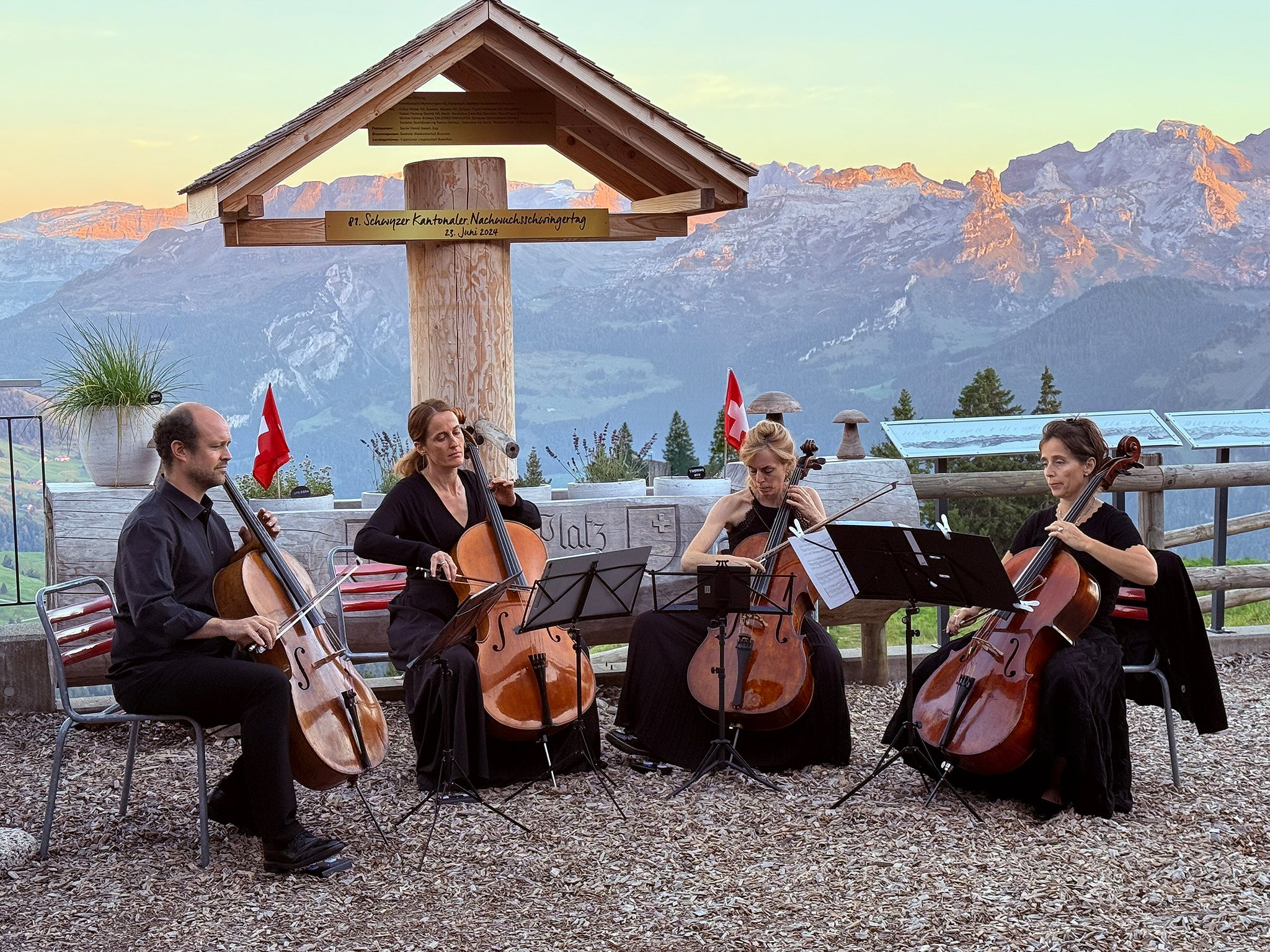 Vinocello – Saiten, Wein & Genuss