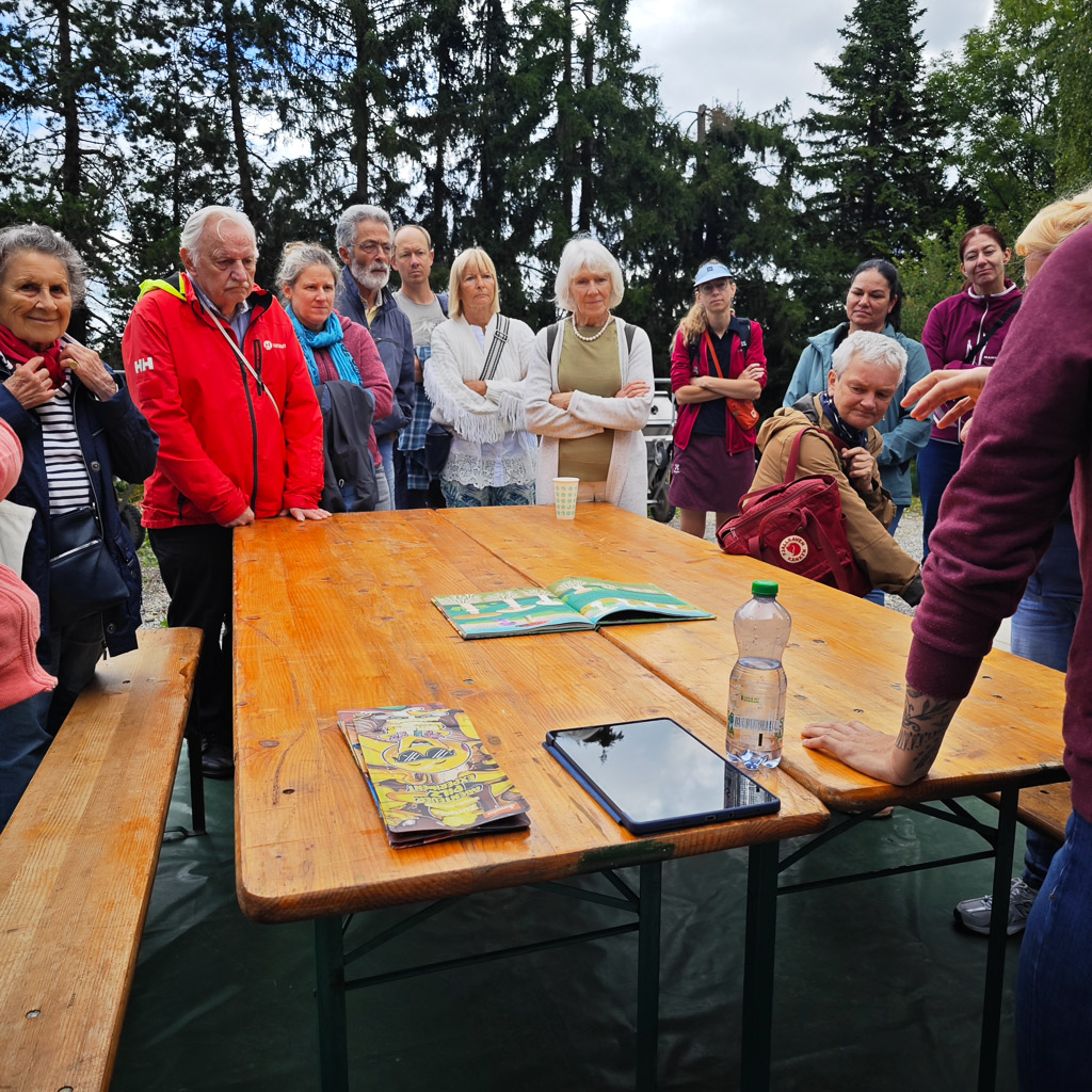 Life is raging down below: The mushroom tour that shows Zurich differently