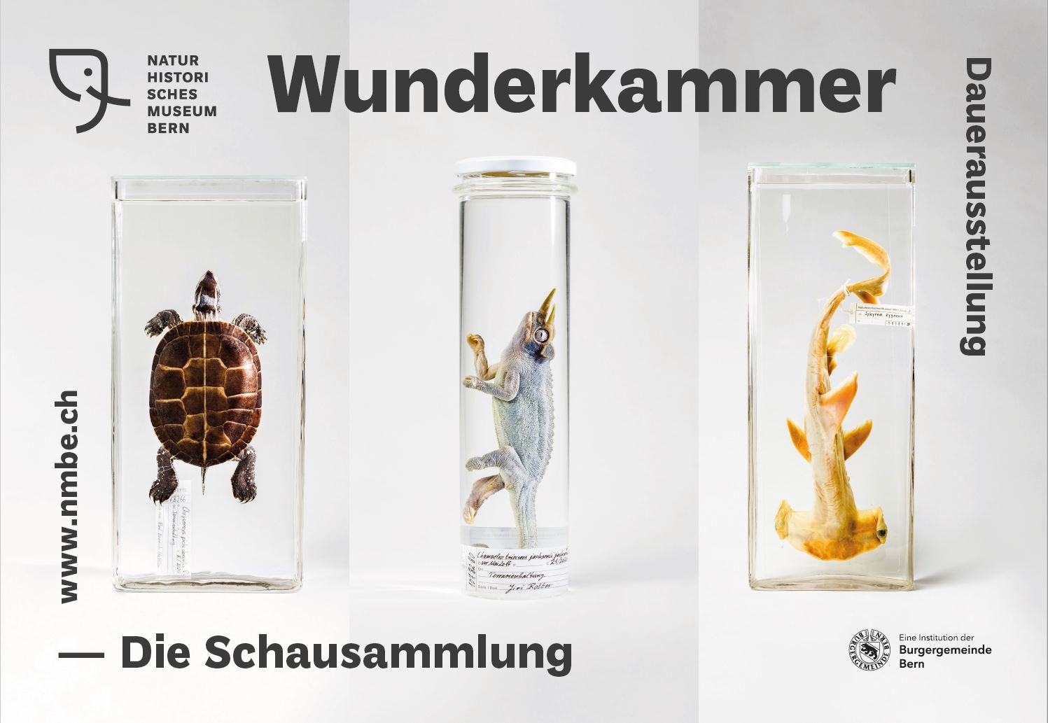 Wunderkammer - La collection d'exposition