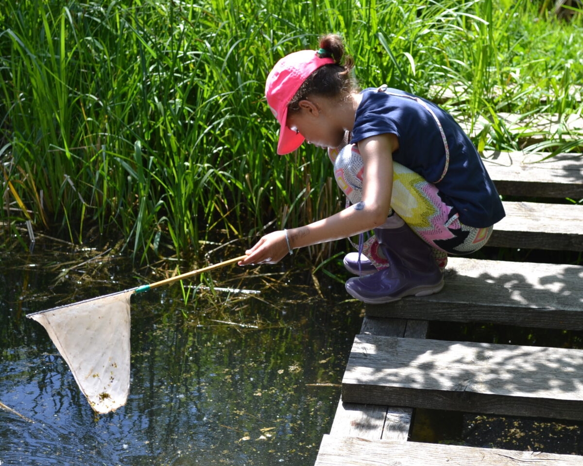 Naturlabor am Teich