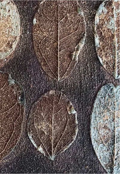 Ausstellung "Transitus - Übergänge"