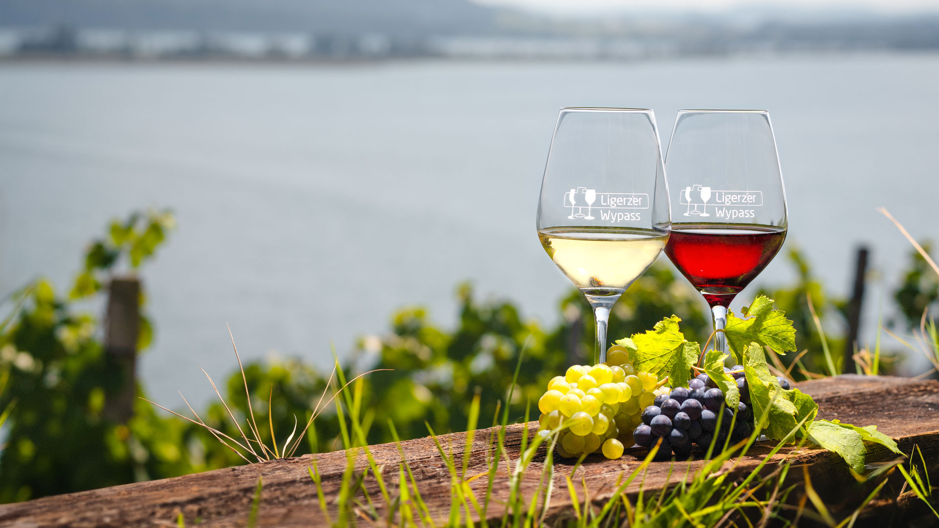 Fêtes des Vendanges de Gléresse