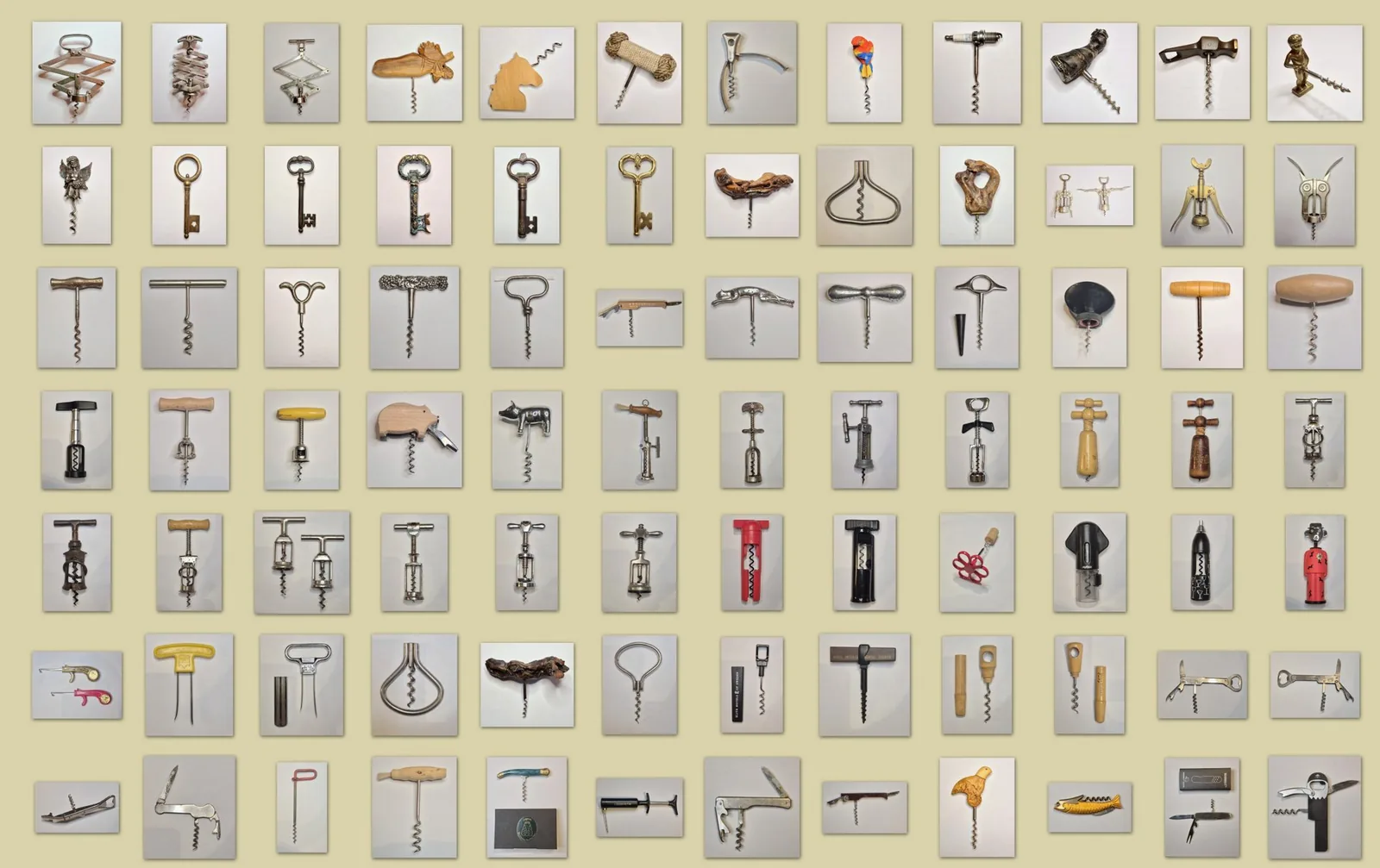 Sammeln | Collectionner
