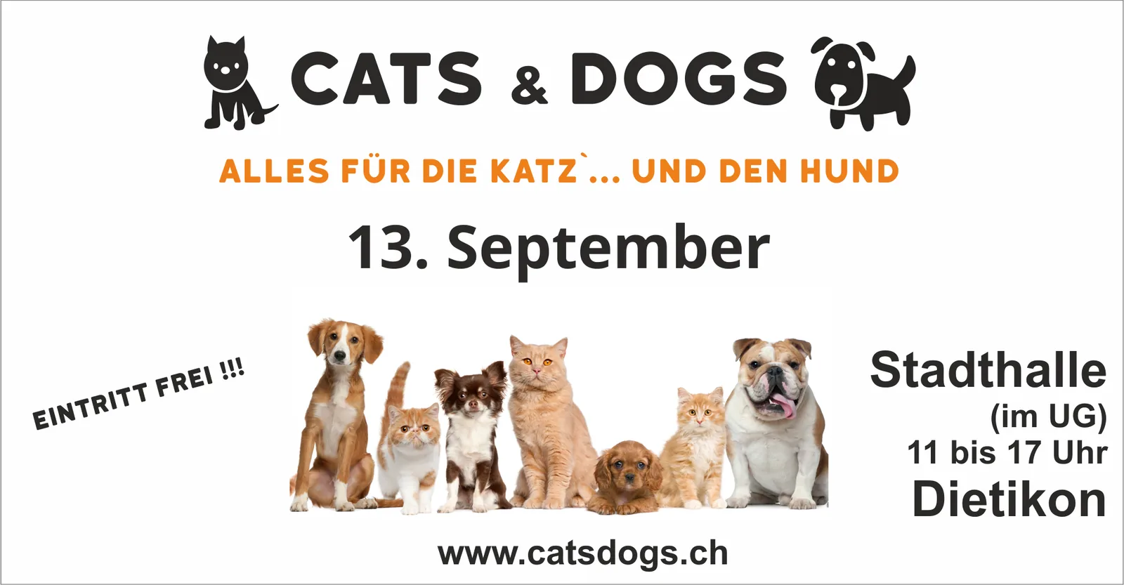 Cats & Dogs – alles für die Katz…. Und den Hund
