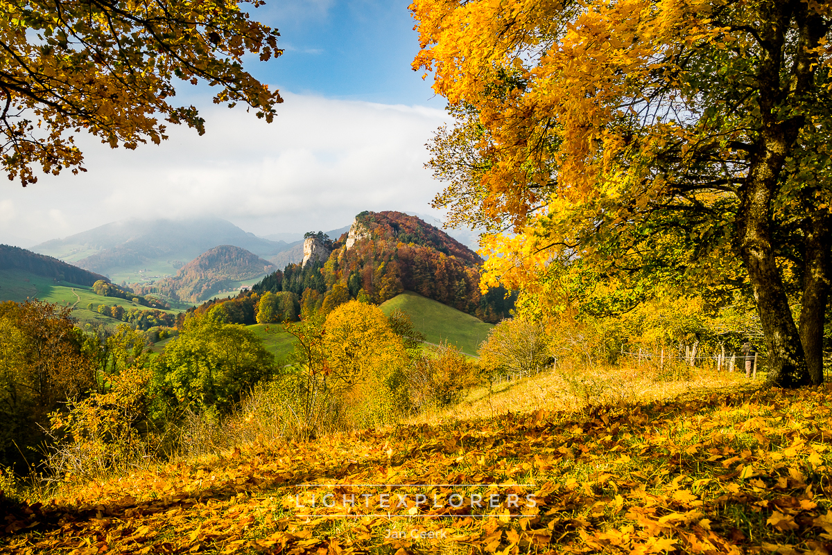 Autumn photo workshop in the Basel region