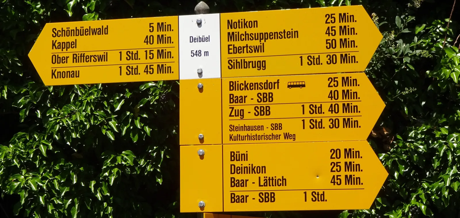 Wanderung entlang des Sempachersees