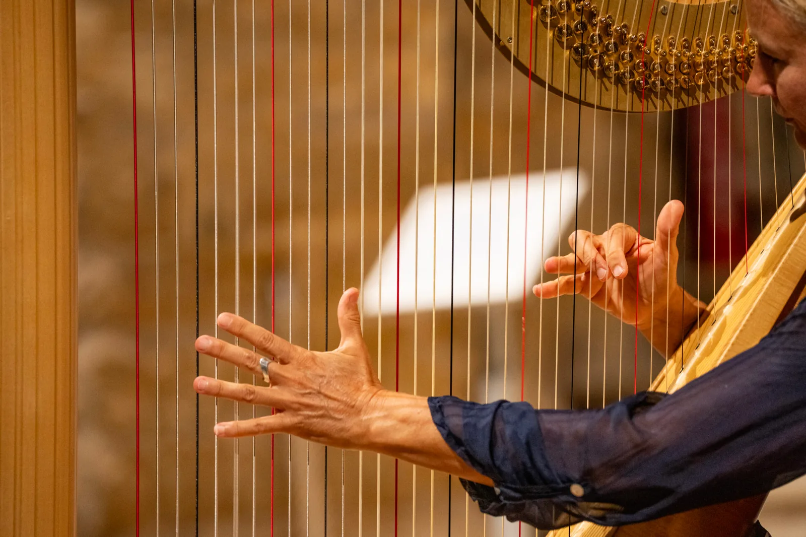 Harp & Soprano at La Table: An Invitation to Travel
