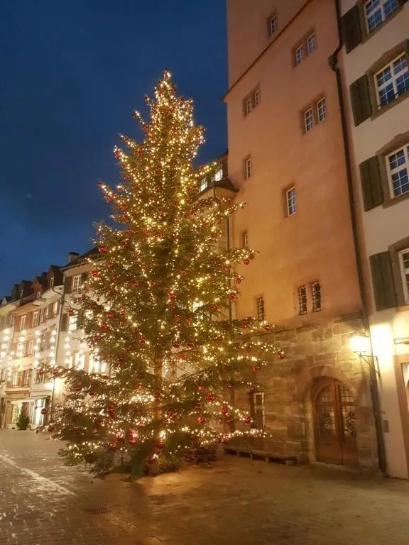 Öffentliche Weihnachtsführung