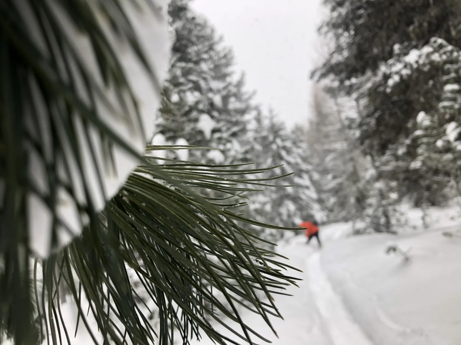 Jubiläums-Special - Winterwanderung & Apéro