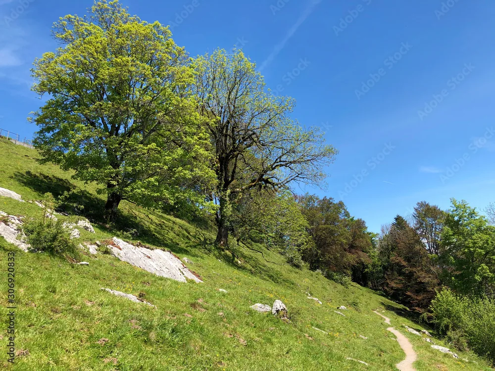 Jodelwanderung am Birgä; Samstag, 05. September 2026