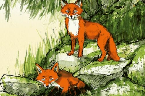 Gschichtefahrt: Fay und Finn