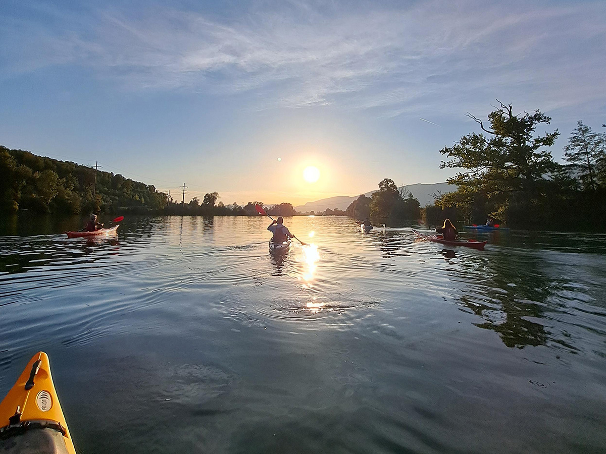 Sunrise-paddling on the Aare with kayaks