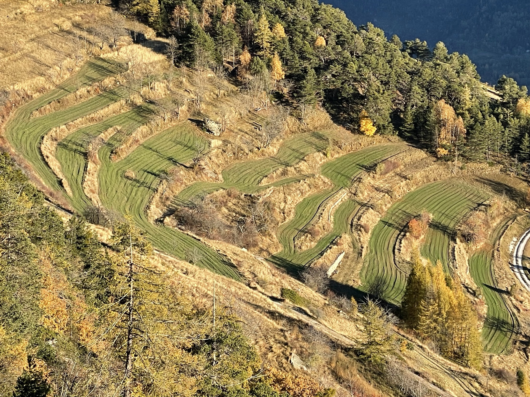 Parcours dans le paysage culturel d'Erschmatt