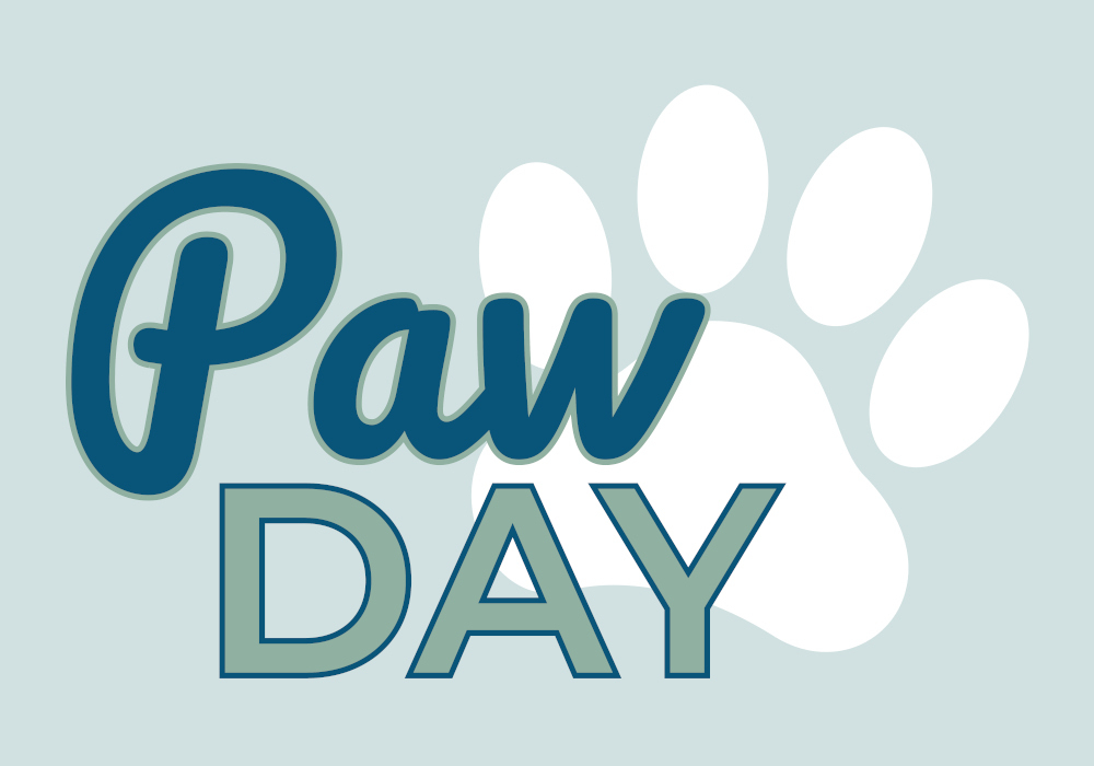 PawDAY - Der Hundemarkt für dich & deinen Vierbeiner