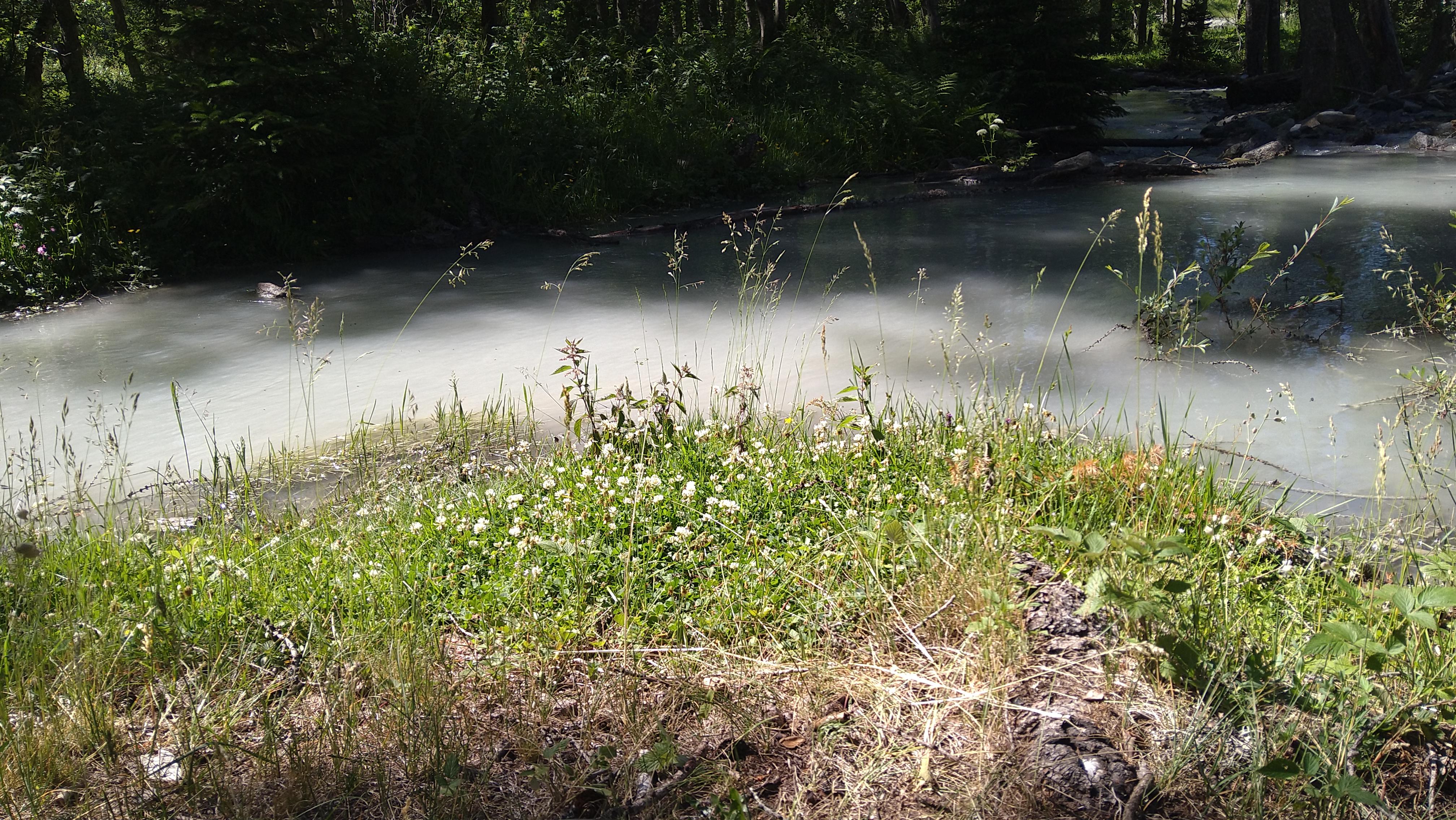 Naturenergien verbunden mit Herzkraft