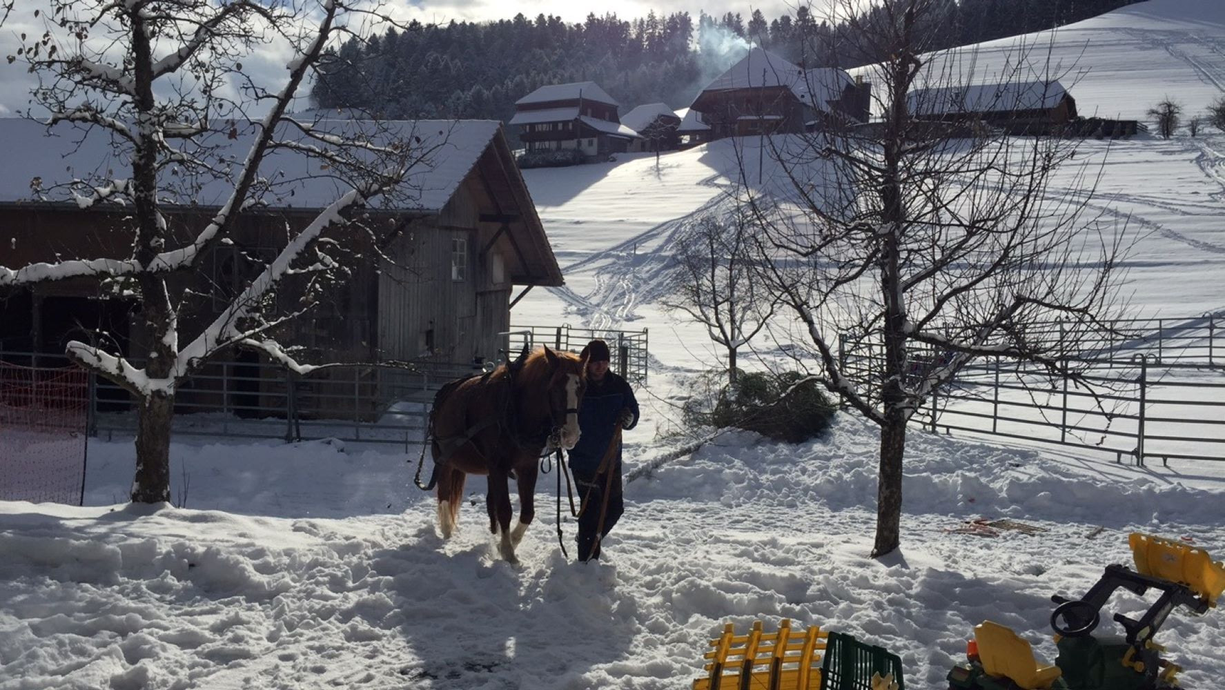 Journées de Noël à la ferme
