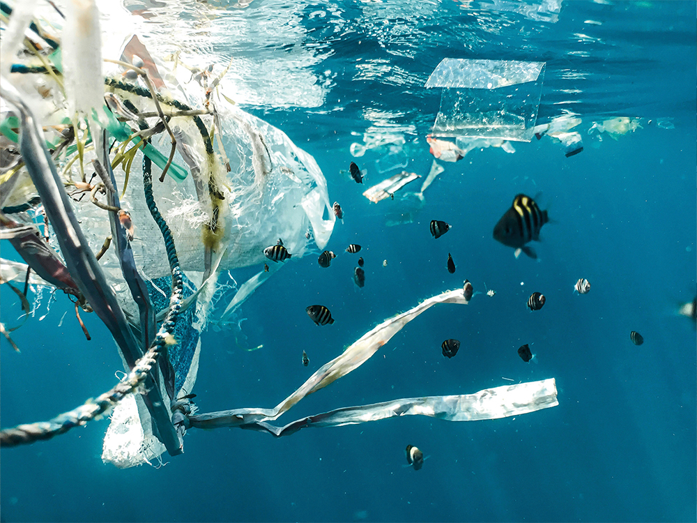 Dem Mikroplastik auf der Spur