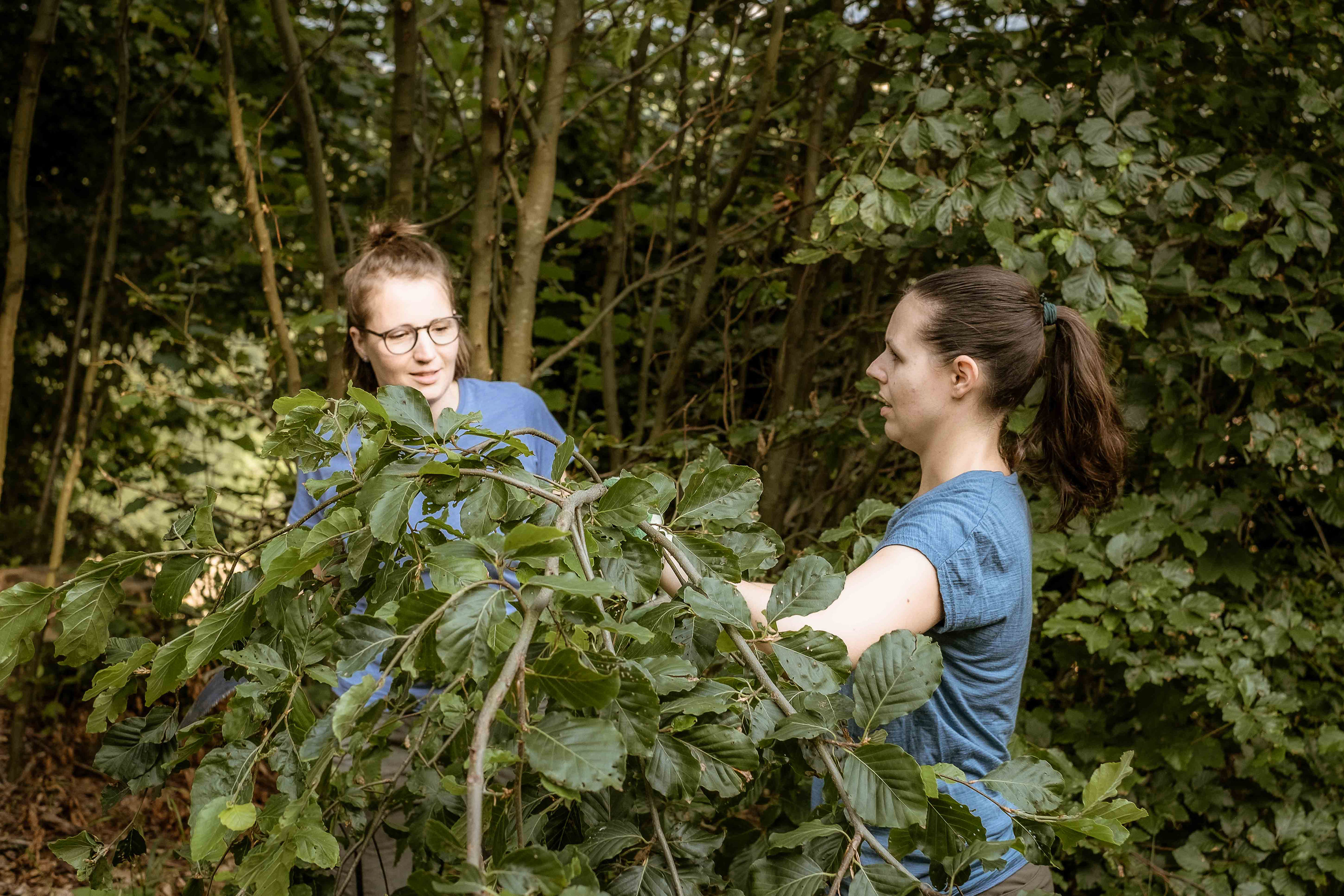 Herbst-Gartenkurs in Wattenwil