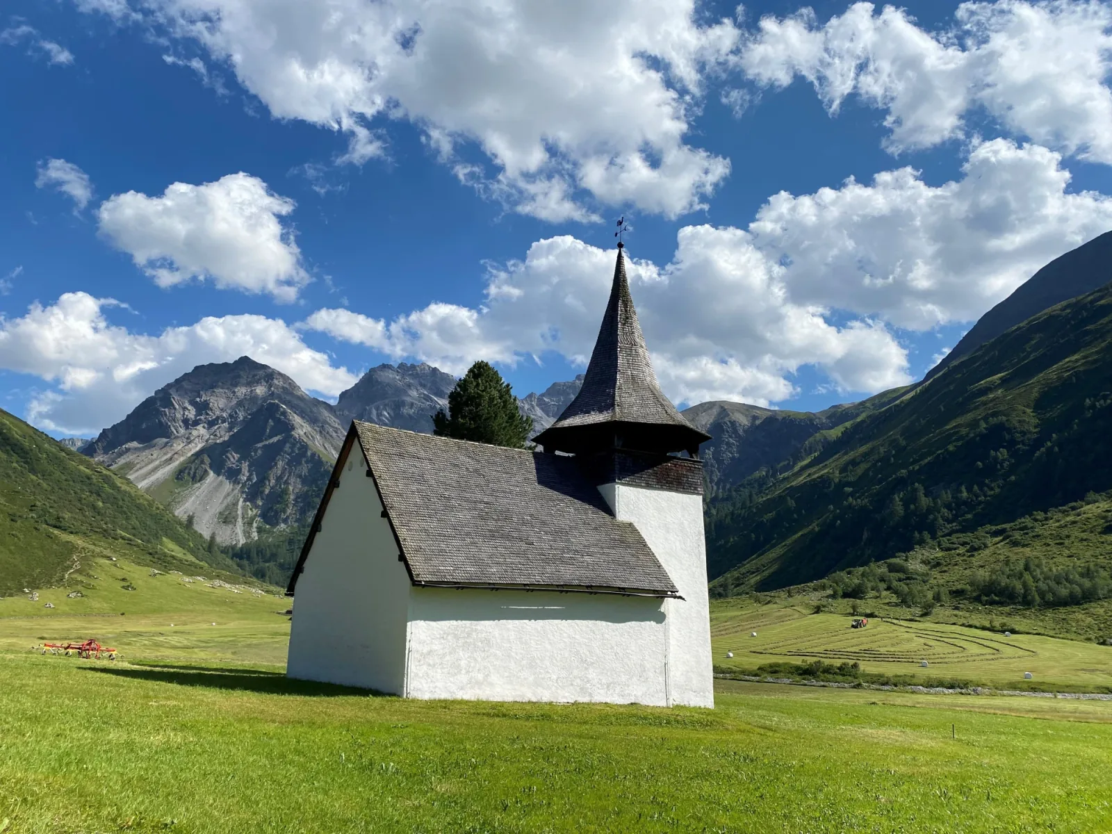 Demokratie - Reformation - Bildung