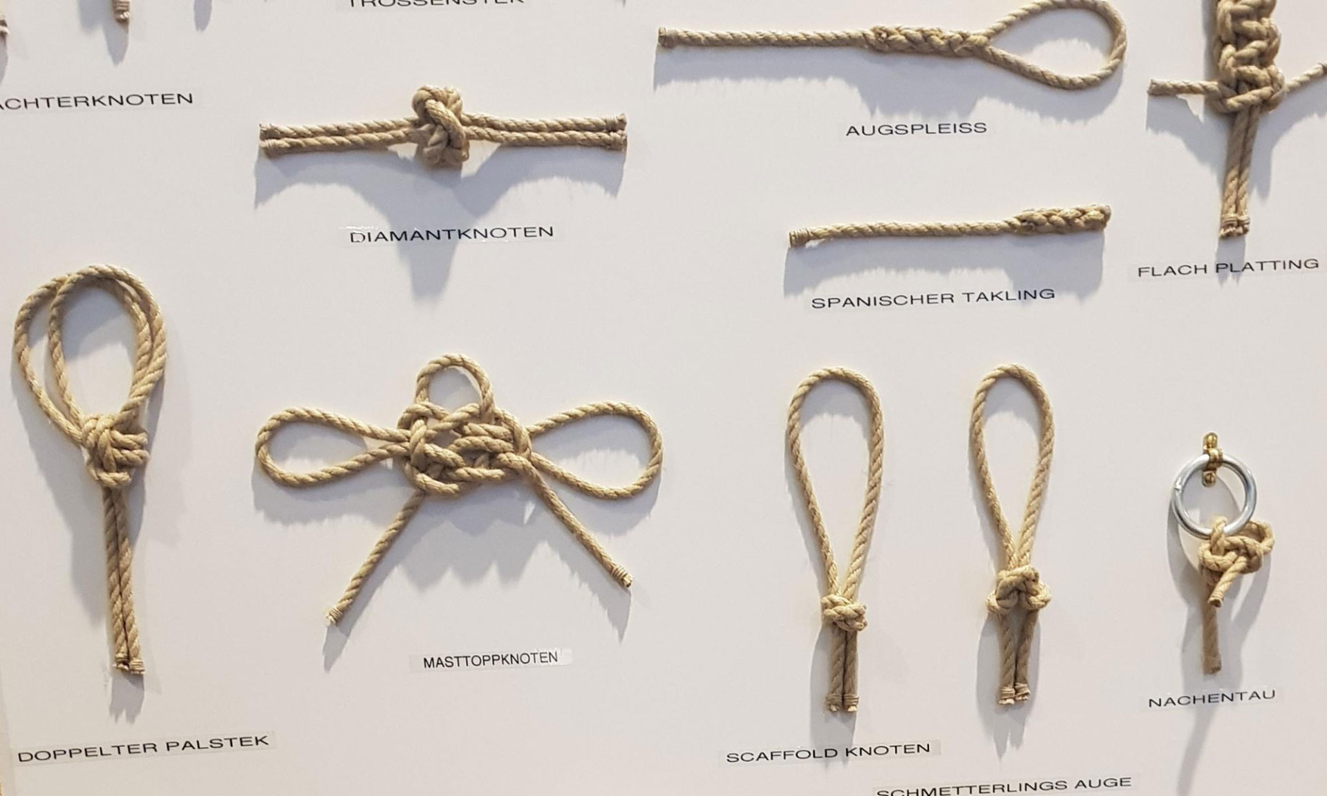 Knoten & Spleissen