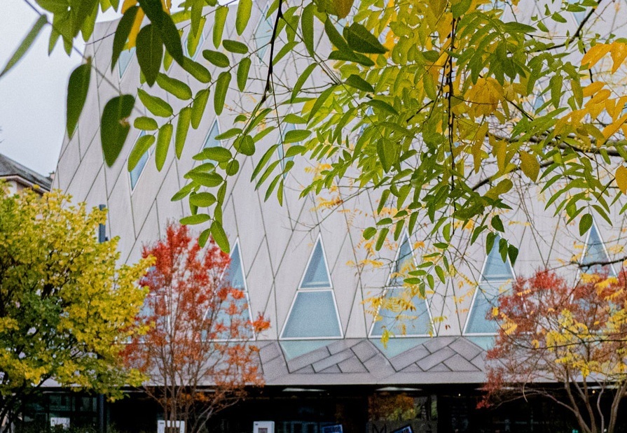 Visite au Jardin: Le retour de l'automne