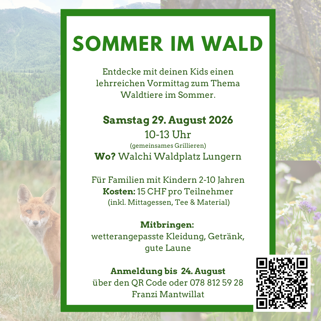 Sommer im Wald
