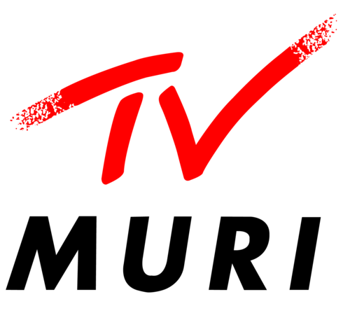 Männerriege Muri | Hallensport