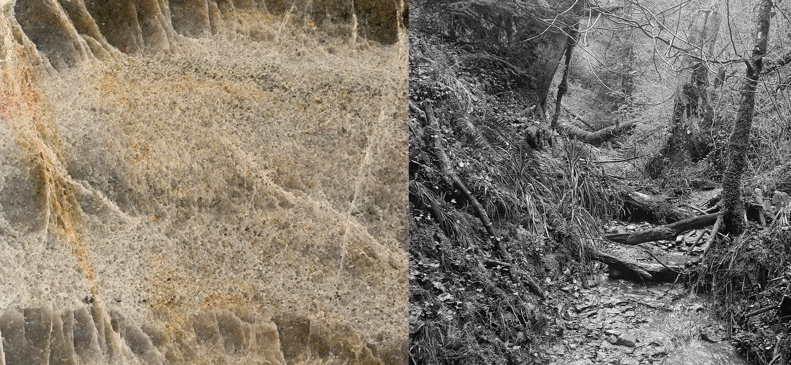 Visual Landscapes - Visual Affinities, Lecture by Andi Rieser