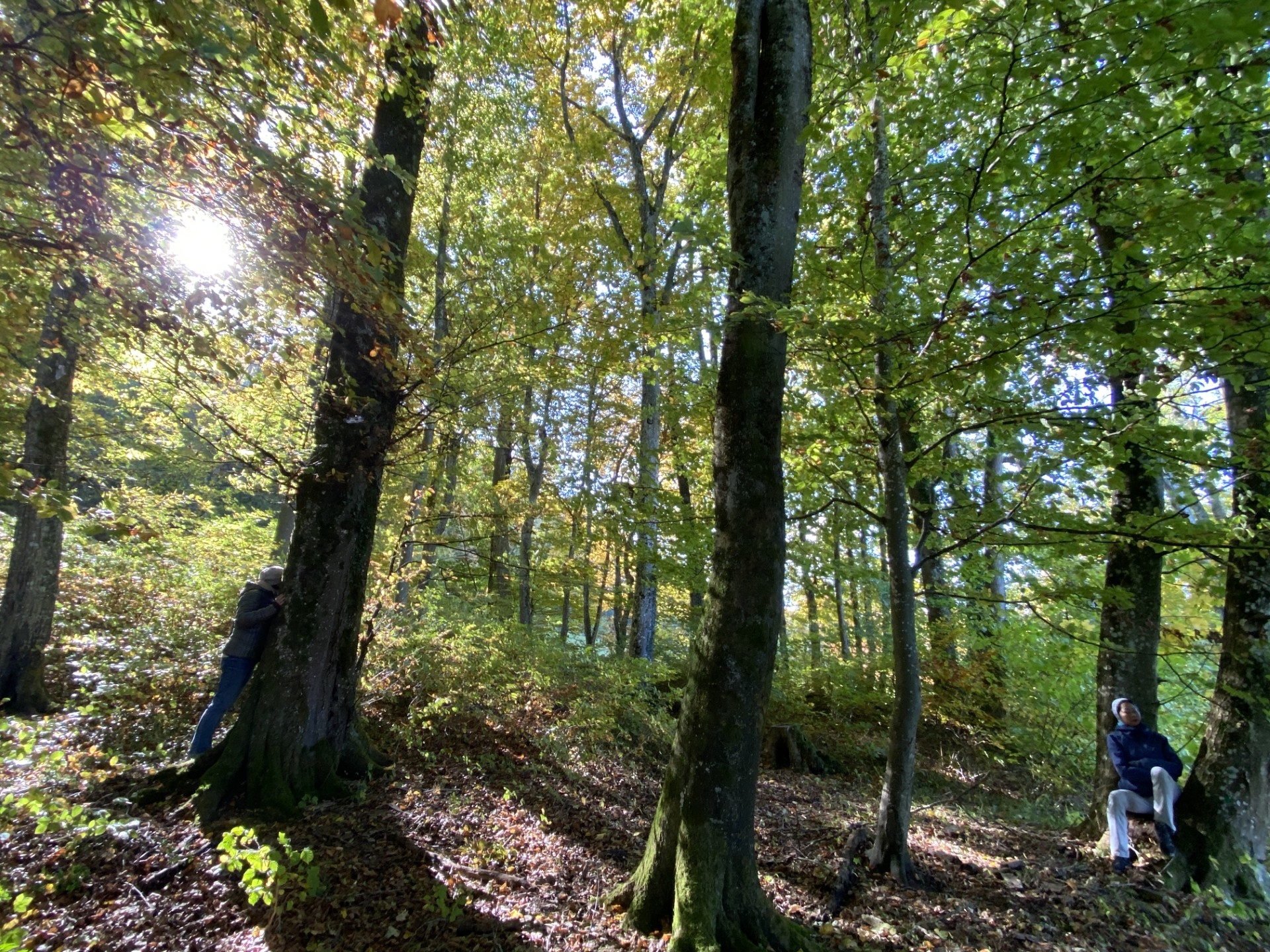 Natur- und Waldbaden