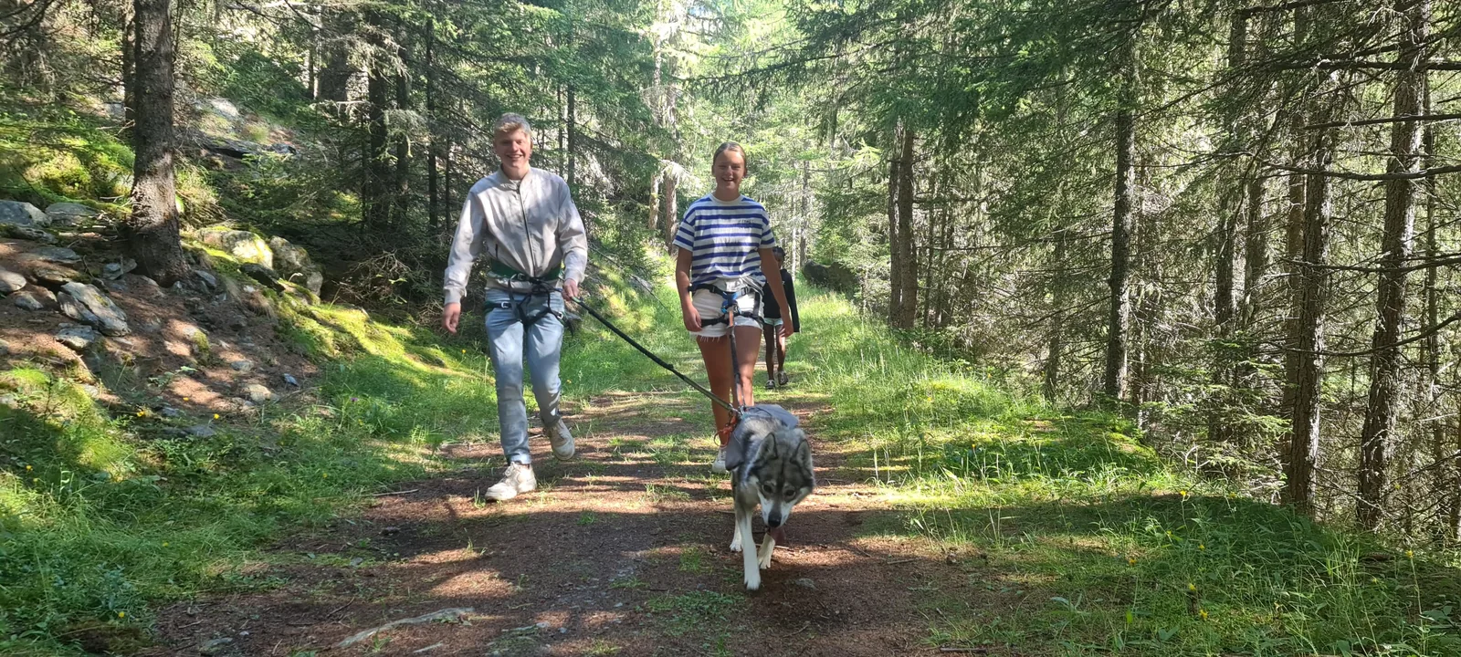 Trekking Husky en famille