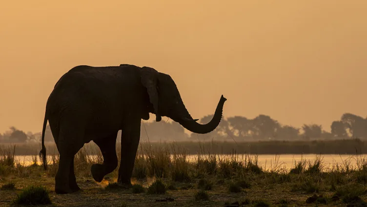 Live-Vortrag: Botswana und Namibia