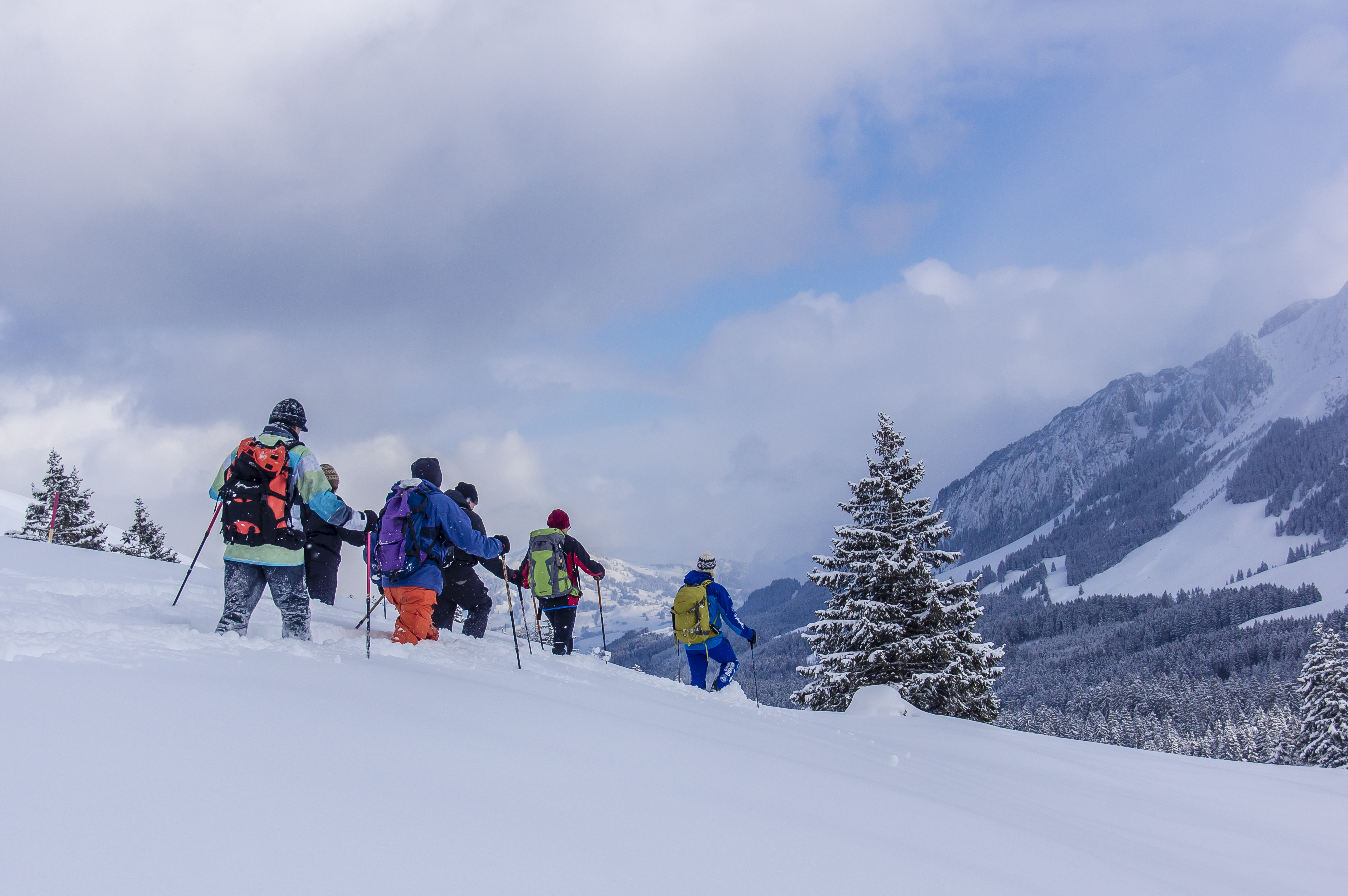 Spuren im Schnee: rücksichtsvoll Natur erlebend