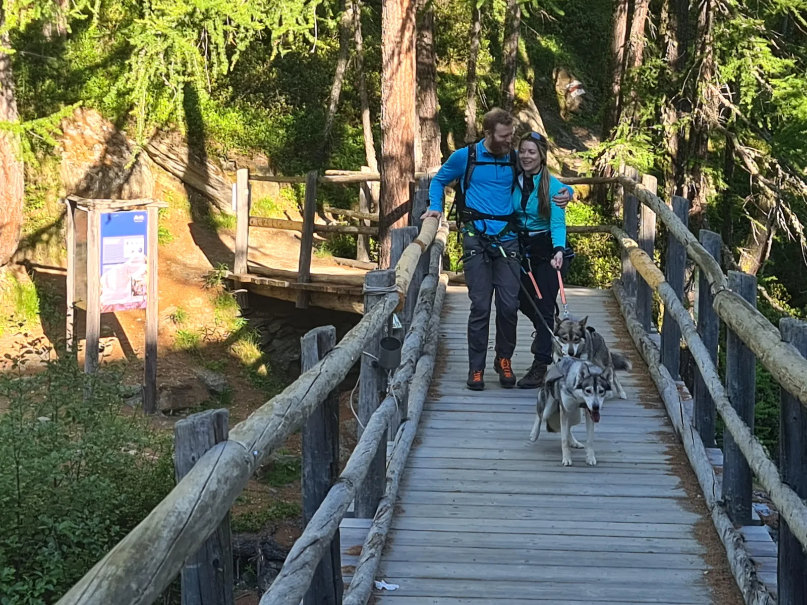Husky Trekking