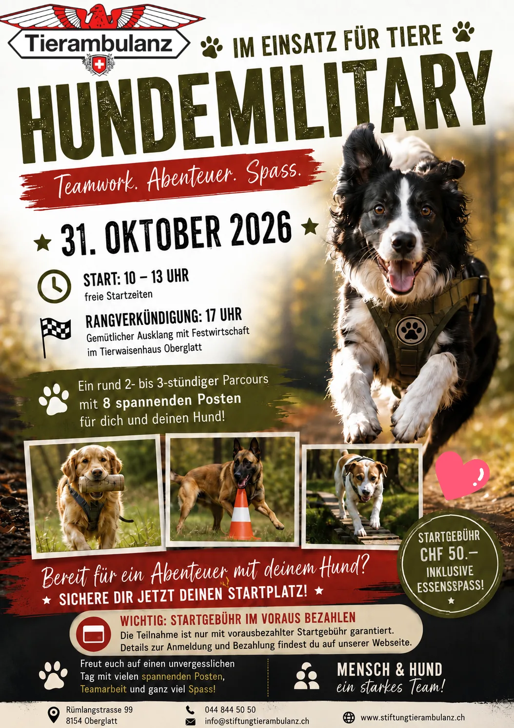 Hundemilitary- im Einsatz für die Tiere