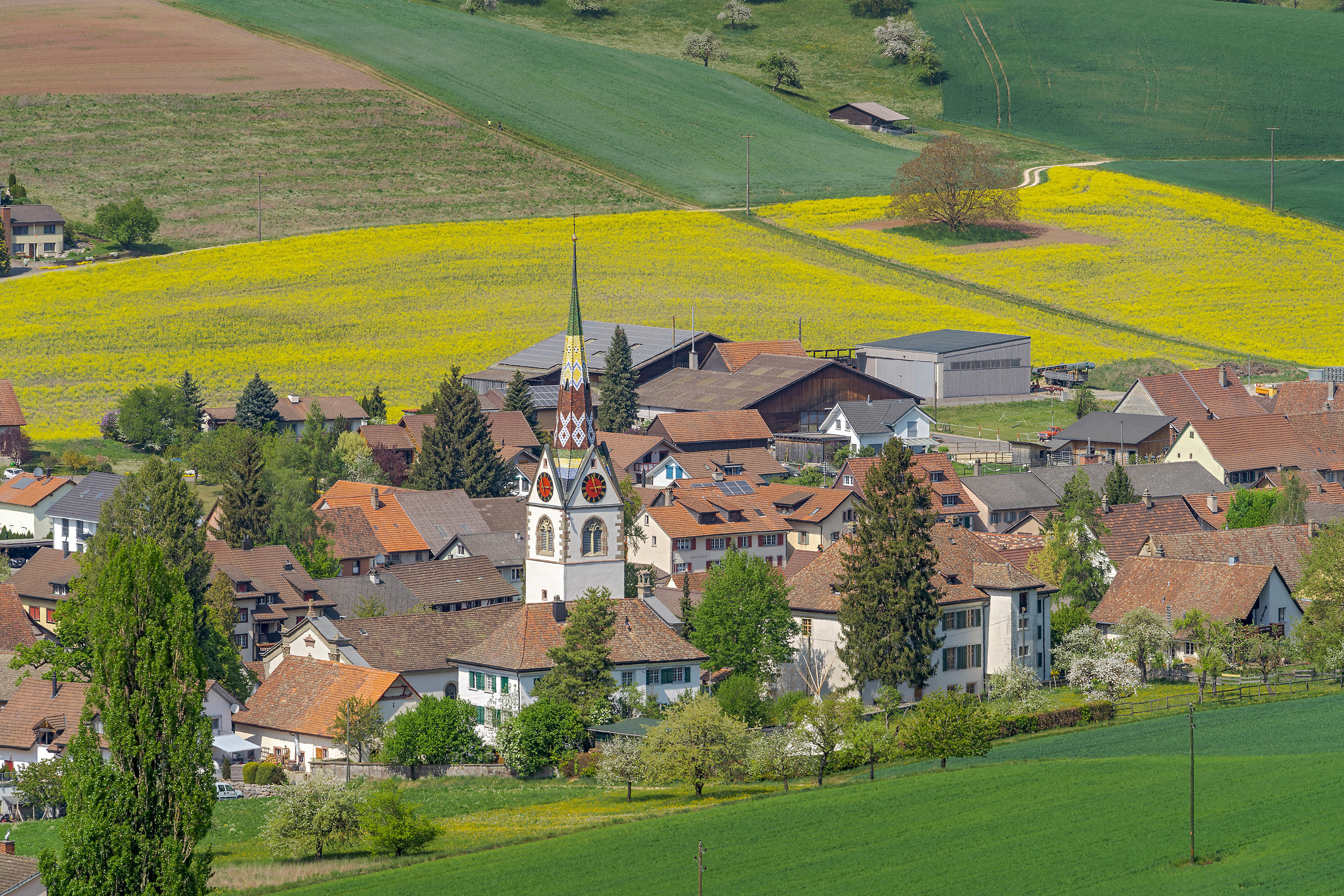 500 Jahre Schleitheimer Bekenntnis