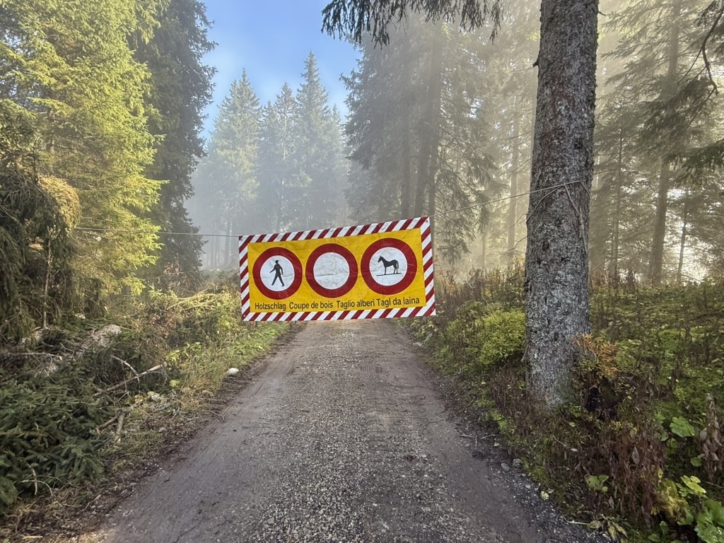 Film: Unschätzbare Wälder