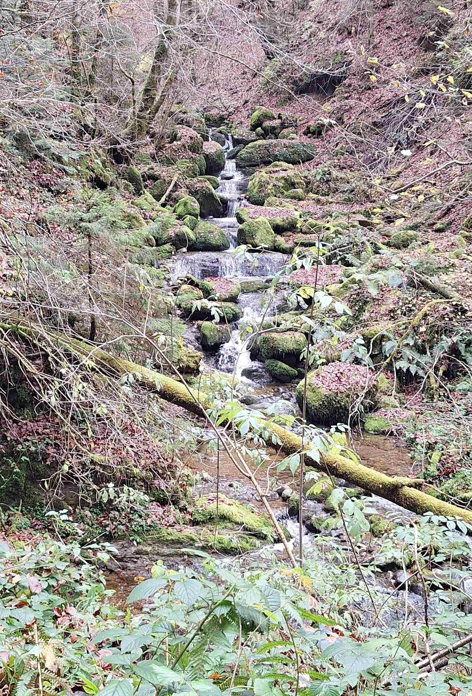 Wandererlebnis: Bach und Wasser