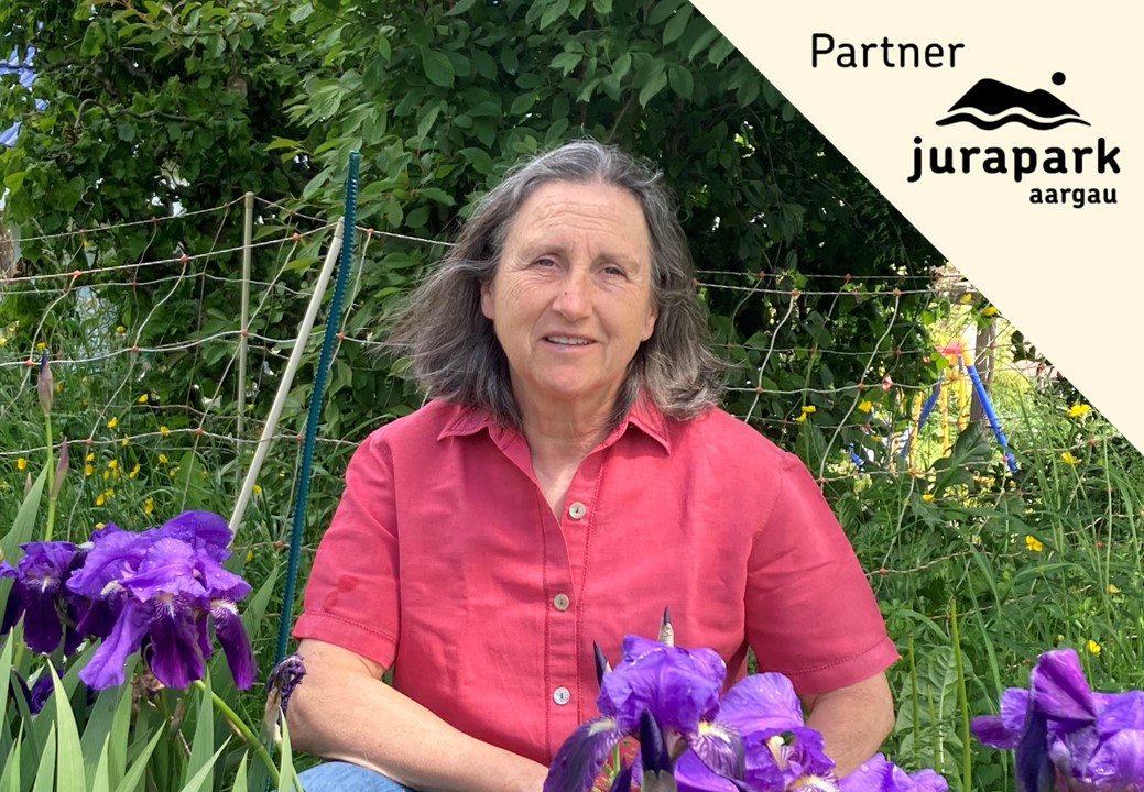 Heilkräuter & Hausmittel - aus Garten + Natur / Sommerkurs