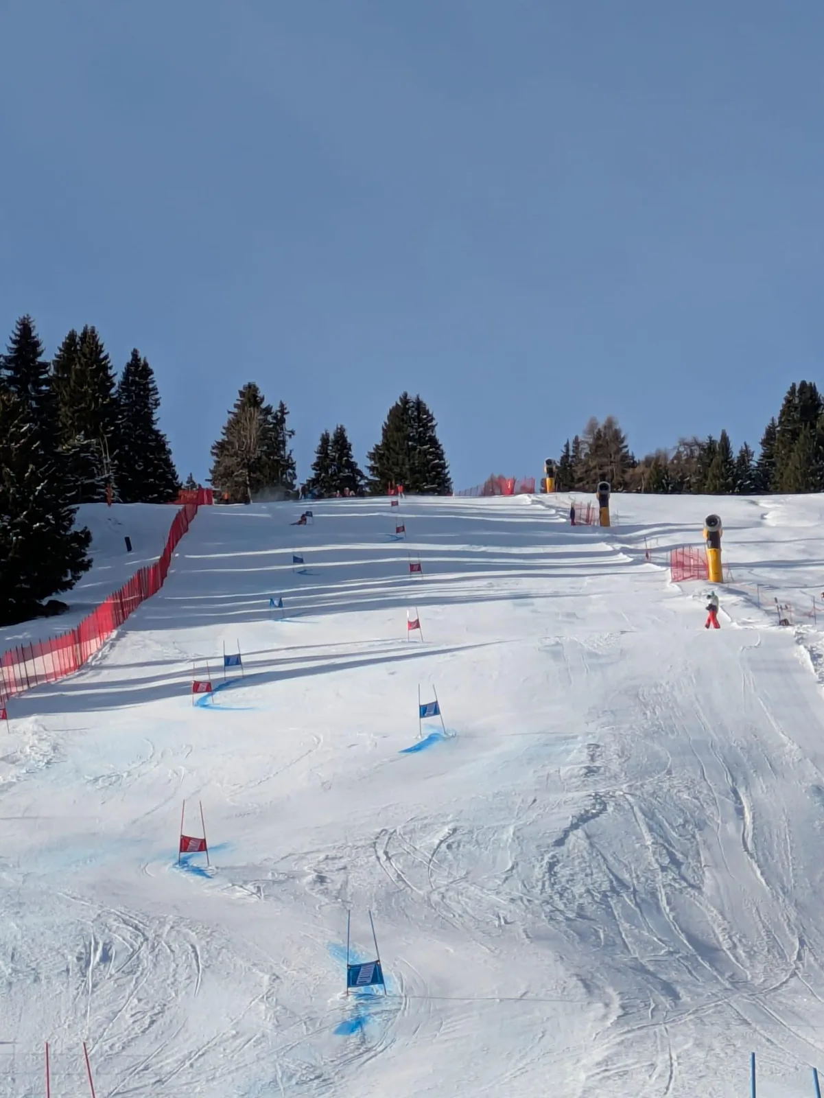 FIS Riesenslalom - Damen