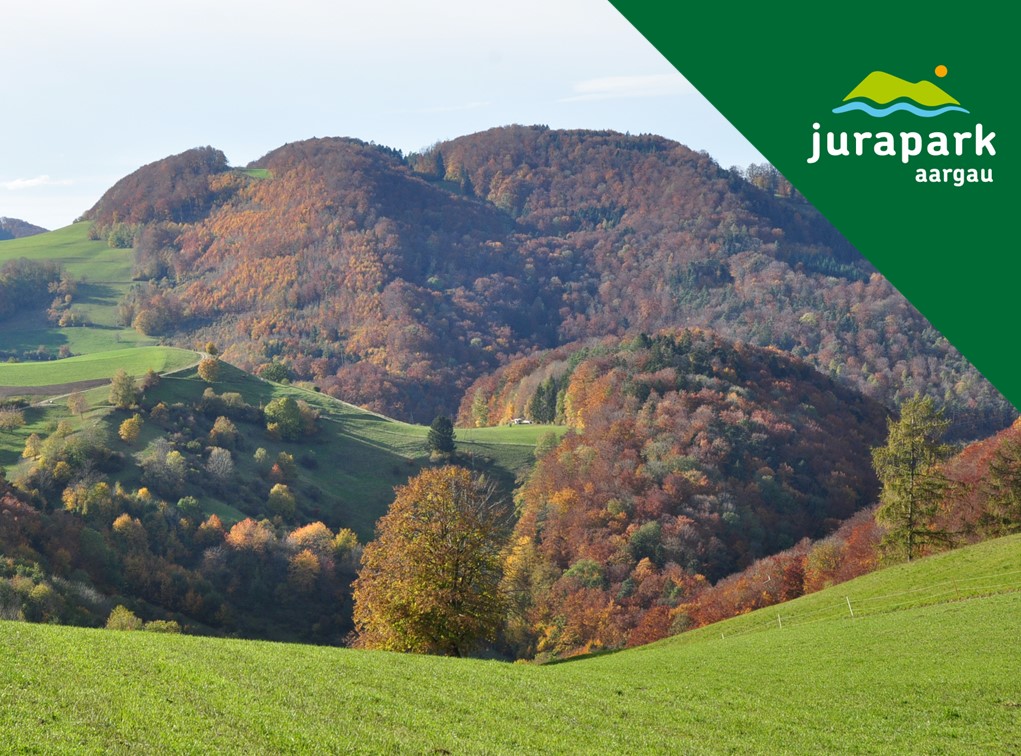 Landschaft lesen und erleben - Geschichte, Wandel, Bedeutung