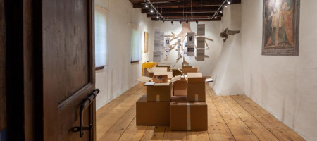 Radici - mostra temporanea