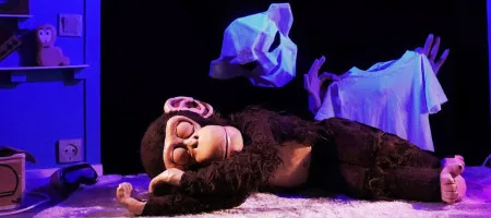Lemba, petit chimpanzé